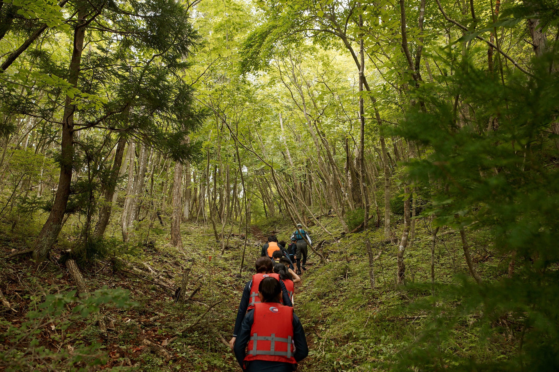 「環境づくりは人づくりから」サマースクール・レポート IMAGE