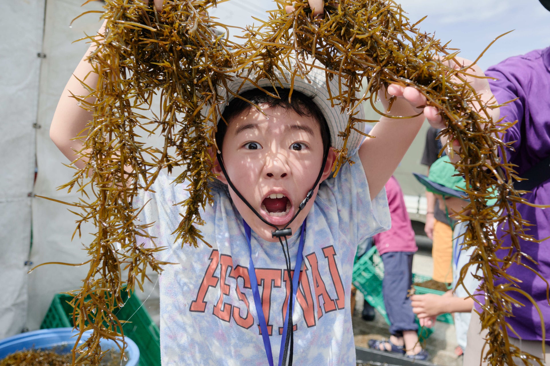 子どもたちと、海から学ぶ未来。ヒジキから広がる“ブルーカーボン”の話 IMAGE