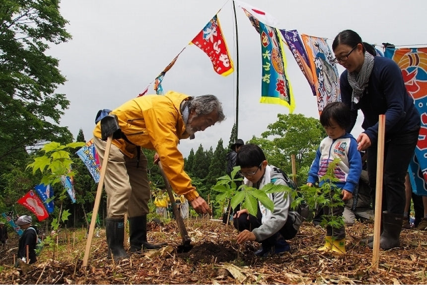 森は海の恋人 image